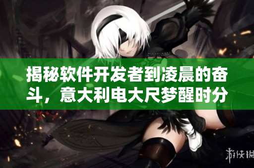 揭秘軟件開發(fā)者到凌晨的奮斗，意大利電大尺夢醒時分的啟示