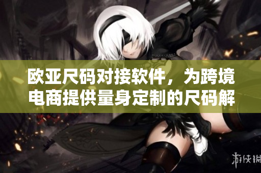 歐亞尺碼對接軟件，為跨境電商提供量身定制的尺碼解決方案-B1B1