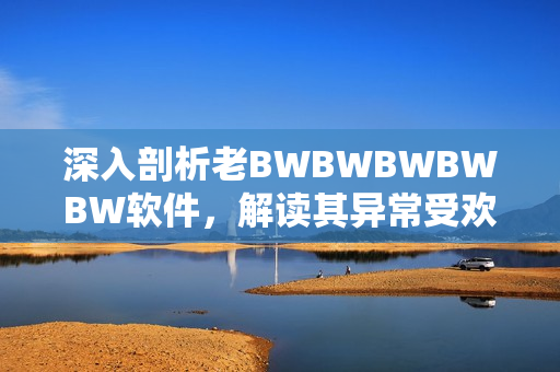 深入剖析老BWBWBWBWBW軟件，解讀其異常受歡迎的原因！