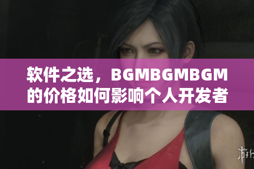 軟件之選，BGMBGMBGM的價格如何影響個人開發(fā)者的選擇