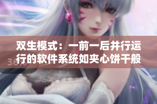 雙生模式：一前一后并行運行的軟件系統(tǒng)如夾心餅干般完美