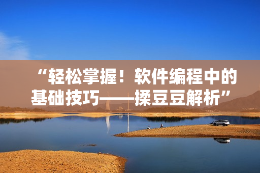 “輕松掌握！軟件編程中的基礎(chǔ)技巧——揉豆豆解析”