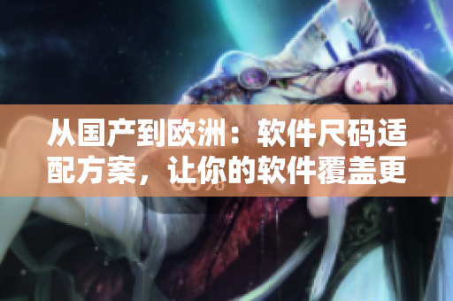 從國(guó)產(chǎn)到歐洲：軟件尺碼適配方案，讓你的軟件覆蓋更多市場(chǎng)