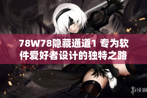 78W78隱藏通道1 專為軟件愛好者設(shè)計(jì)的獨(dú)特之路