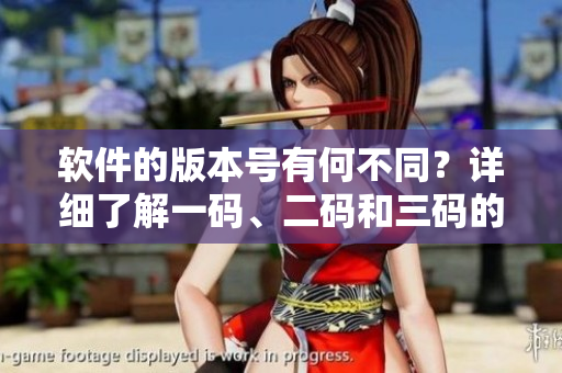 軟件的版本號(hào)有何不同？詳細(xì)了解一碼、二碼和三碼的區(qū)別