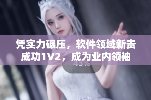 憑實(shí)力碾壓，軟件領(lǐng)域新貴成功1V2，成為業(yè)內(nèi)領(lǐng)袖
