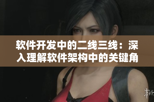 軟件開發(fā)中的二線三線：深入理解軟件架構中的關鍵角色與工作流程