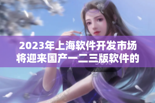 2023年上海軟件開發(fā)市場將迎來國產(chǎn)一二三版軟件的差異化競爭