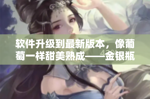 軟件升級(jí)到最新版本，像葡萄一樣甜美熟成——金銀瓶4新特性介紹