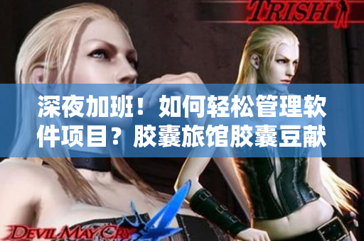 深夜加班！如何輕松管理軟件項目？膠囊旅館膠囊豆獻技！