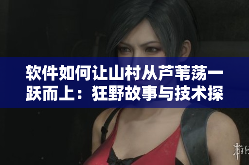 軟件如何讓山村從蘆葦蕩一躍而上：狂野故事與技術(shù)探討