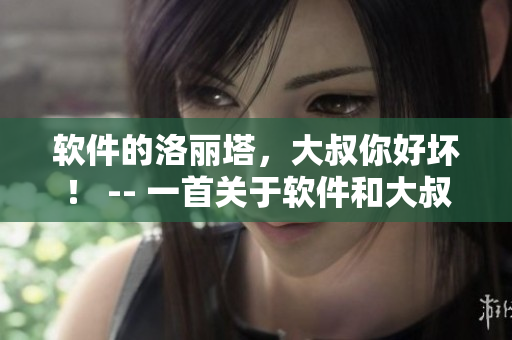 軟件的洛麗塔，大叔你好壞！ -- 一首關于軟件和大叔的搖滾之歌