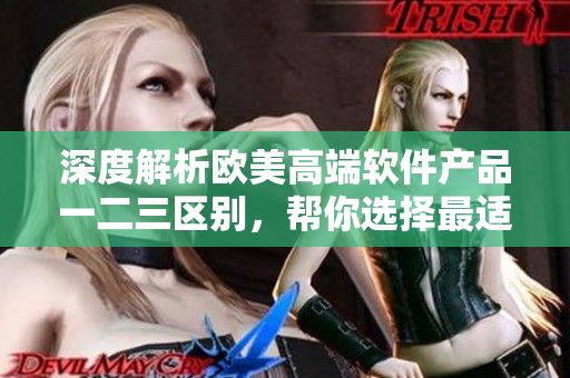 深度解析歐美高端軟件產(chǎn)品一二三區(qū)別，幫你選擇最適合自己的產(chǎn)品