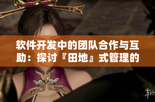 軟件開發(fā)中的團隊合作與互助：探討『田地』式管理的應用