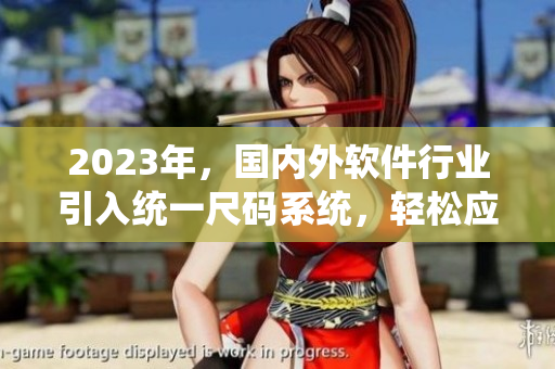 2023年，國內(nèi)外軟件行業(yè)引入統(tǒng)一尺碼系統(tǒng)，輕松應(yīng)對多元市場需求