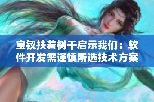 寶釵扶著樹干啟示我們：軟件開發(fā)需謹(jǐn)慎所選技術(shù)方案
