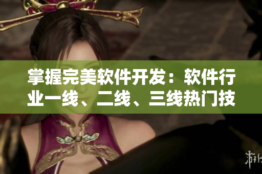 掌握完美軟件開發(fā)：軟件行業(yè)一線、二線、三線熱門技術(shù)詳解