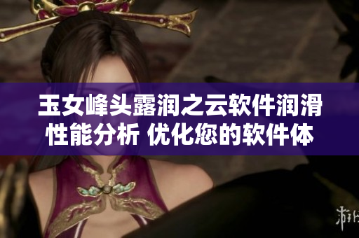 玉女峰頭露潤之云軟件潤滑性能分析 優(yōu)化您的軟件體驗，讓您暢游云端