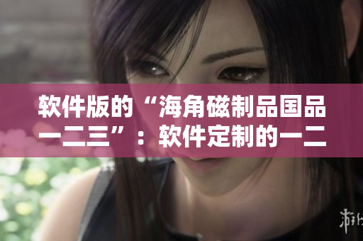 軟件版的“海角磁制品國品一二三”：軟件定制的一二三區(qū)別簡介