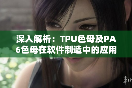深入解析：TPU色母及PA6色母在軟件制造中的應(yīng)用差異