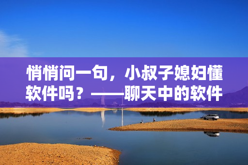 悄悄問(wèn)一句，小叔子媳婦懂軟件嗎？——聊天中的軟件話題點(diǎn)評(píng)