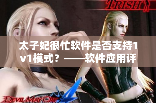 太子妃很忙軟件是否支持1v1模式？——軟件應(yīng)用評(píng)測(cè)
