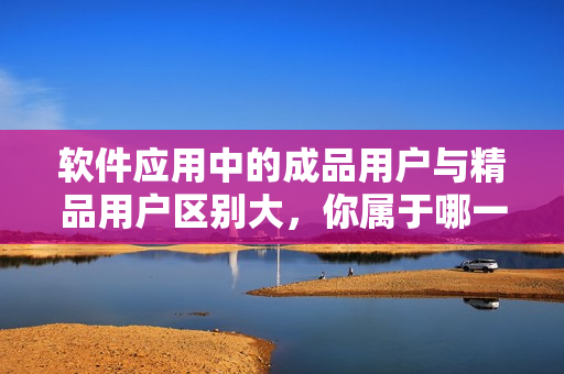 軟件應(yīng)用中的成品用戶與精品用戶區(qū)別大，你屬于哪一類？