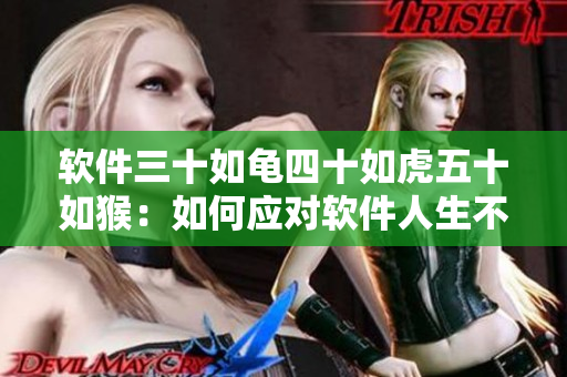 軟件三十如龜四十如虎五十如猴：如何應(yīng)對(duì)軟件人生不同階段的挑戰(zhàn)？