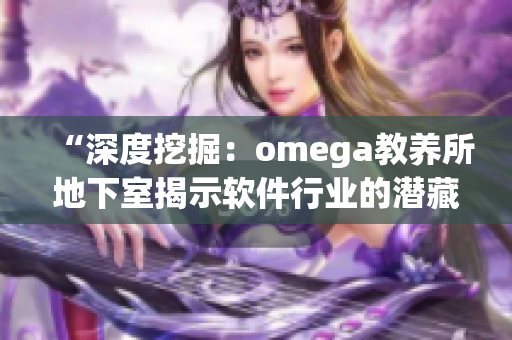 “深度挖掘：omega教養(yǎng)所地下室揭示軟件行業(yè)的潛藏密碼”