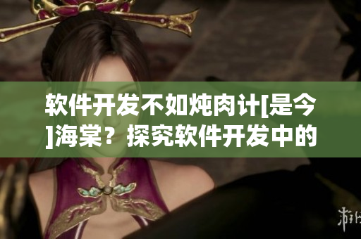 軟件開發(fā)不如燉肉計[是今]海棠？探究軟件開發(fā)中的效率與細(xì)節(jié)
