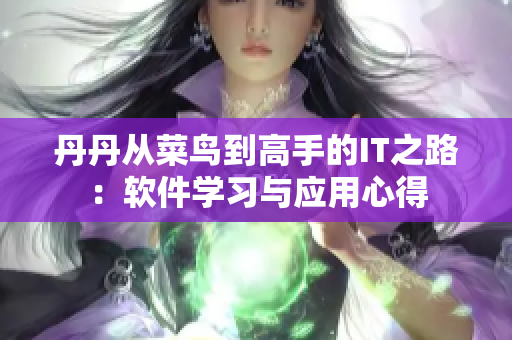 丹丹從菜鳥到高手的IT之路：軟件學習與應用心得