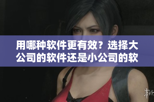 用哪種軟件更有效？選擇大公司的軟件還是小公司的軟件？