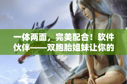 一體兩面，完美配合！軟件伙伴——雙胞胎姐妹讓你的工作更高效！