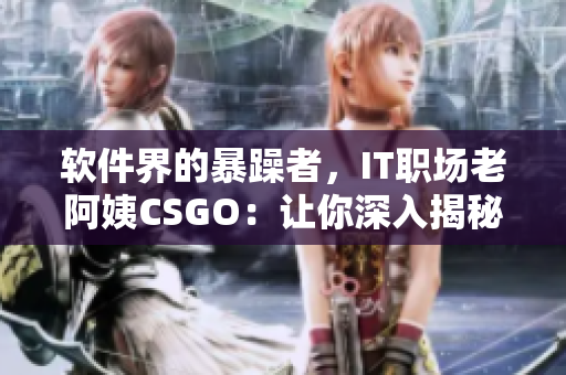 軟件界的暴躁者，IT職場老阿姨CSGO：讓你深入揭秘她的軟件世界