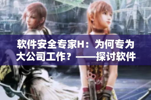 軟件安全專家H：為何專為大公司工作？——探討軟件行業(yè)發(fā)展之路