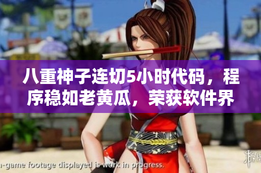 八重神子連切5小時(shí)代碼，程序穩(wěn)如老黃瓜，榮獲軟件界最佳新人獎(jiǎng)