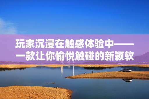 玩家沉浸在觸感體驗中——一款讓你愉悅觸碰的新穎軟件