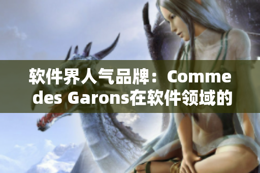 軟件界人氣品牌：Comme des Garons在軟件領(lǐng)域的崛起