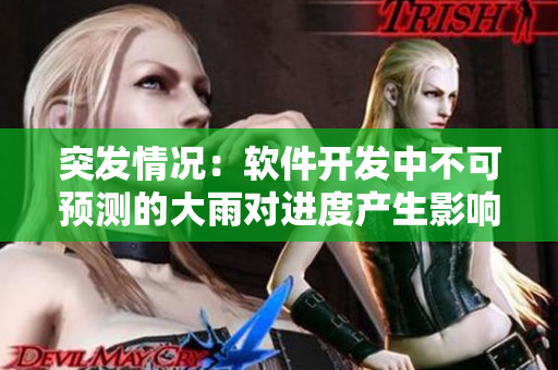 突發(fā)情況：軟件開(kāi)發(fā)中不可預(yù)測(cè)的大雨對(duì)進(jìn)度產(chǎn)生影響！