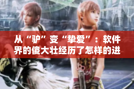 從“驢”變“摯愛”：軟件界的傻大壯經(jīng)歷了怎樣的進化