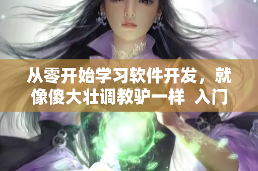 從零開始學(xué)習(xí)軟件開發(fā)，就像傻大壯調(diào)教驢一樣  入門軟件開發(fā)教程