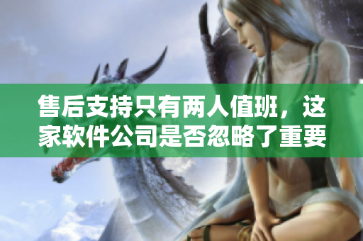 售后支持只有兩人值班，這家軟件公司是否忽略了重要性？