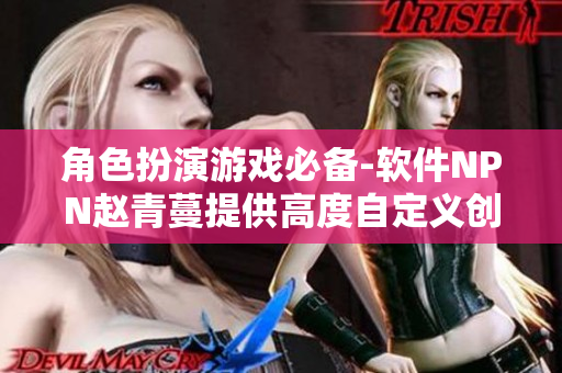 角色扮演游戲必備-軟件NPN趙青蔓提供高度自定義創(chuàng)作功能