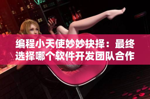 編程小天使妙妙抉擇：最終選擇哪個軟件開發(fā)團隊合作？