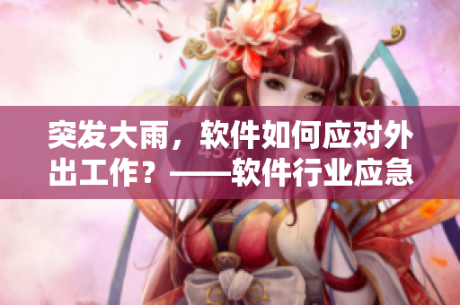 突發(fā)大雨，軟件如何應對外出工作？——軟件行業(yè)應急措施探究