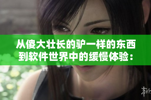 從傻大壯長的驢一樣的東西到軟件世界中的緩慢體驗(yàn)：如何優(yōu)化你的應(yīng)用性能
