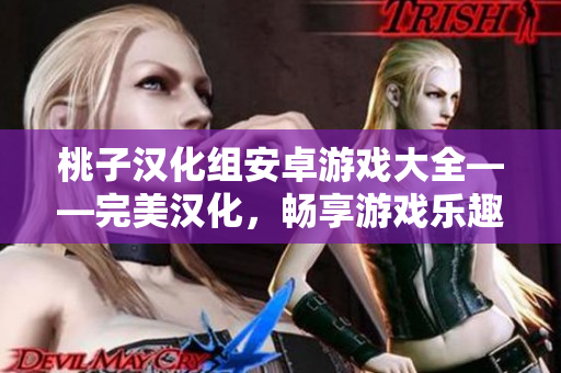 桃子漢化組安卓游戲大全——完美漢化，暢享游戲樂(lè)趣