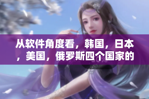 從軟件角度看，韓國(guó)，日本，美國(guó)，俄羅斯四個(gè)國(guó)家的特點(diǎn)是什么