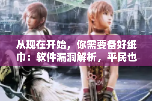 從現(xiàn)在開(kāi)始，你需要備好紙巾：軟件漏洞解析，平民也能看懂！