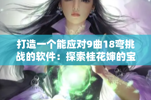 打造一個能應(yīng)對9曲18彎挑戰(zhàn)的軟件：探索桂花嬸的寶貝背后的技術(shù)奧秘